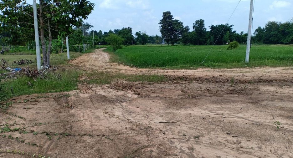 For sale land in Mueang Surin, Surin
