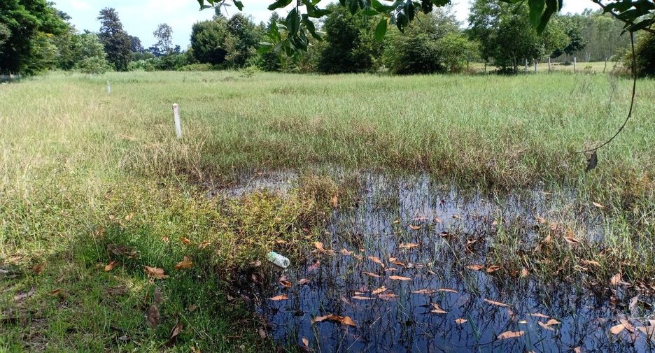 For sale land in Mueang Surin, Surin