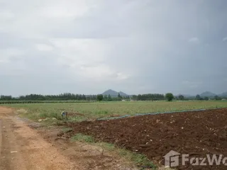 For sale land in Wang Muang, Saraburi