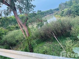For sale land in Kanthararom, Sisaket