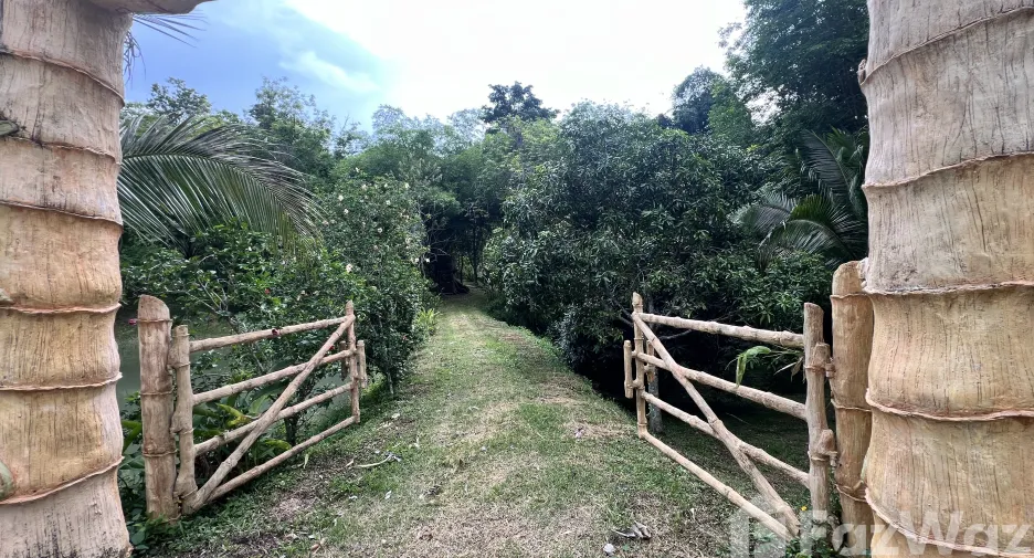 For sale land in Ko Yao, Phang Nga