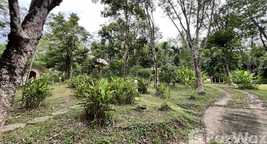 For sale land in Ko Yao, Phang Nga