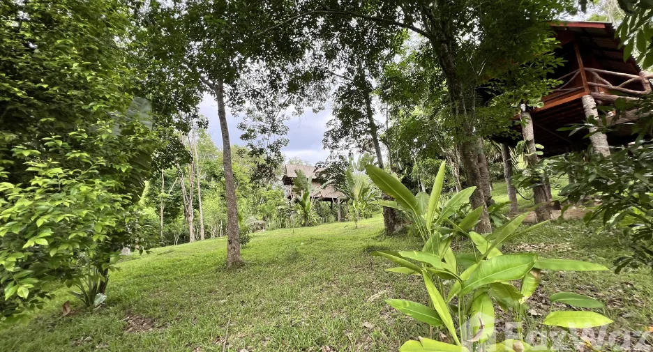 For sale land in Ko Yao, Phang Nga