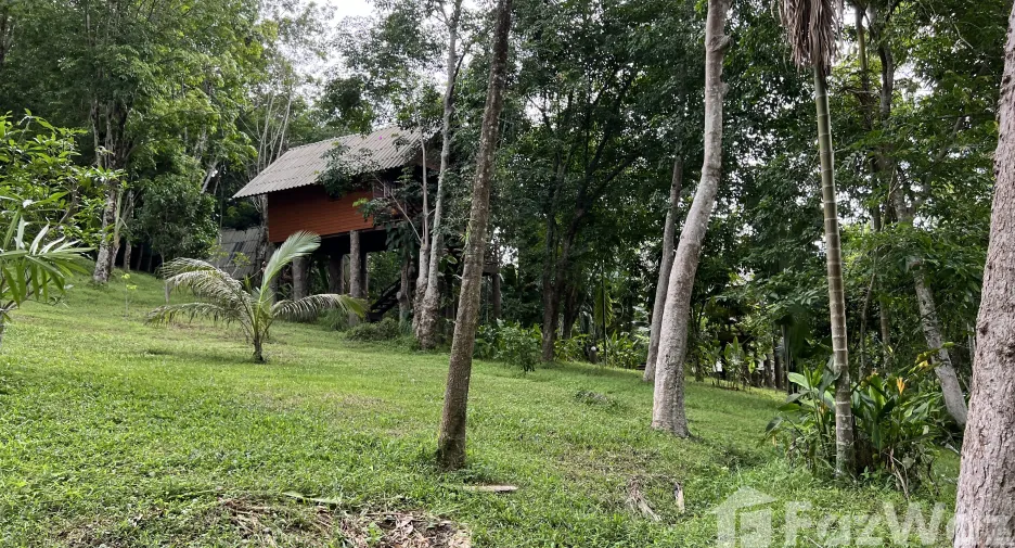 For sale land in Ko Yao, Phang Nga