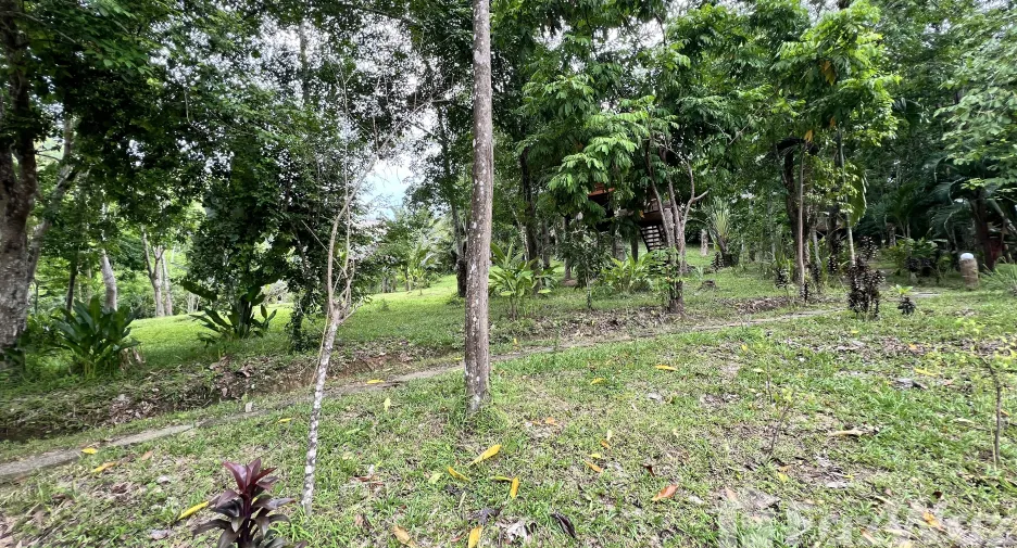 For sale land in Ko Yao, Phang Nga