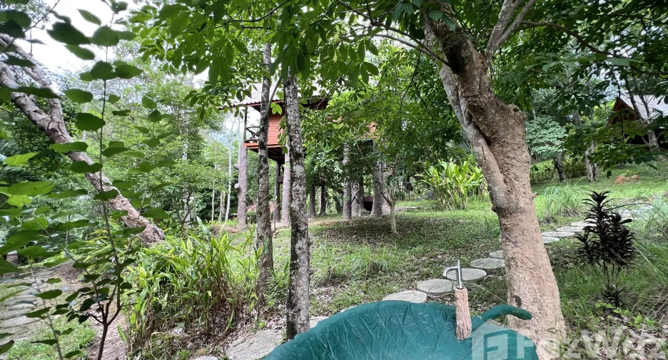 For sale land in Ko Yao, Phang Nga