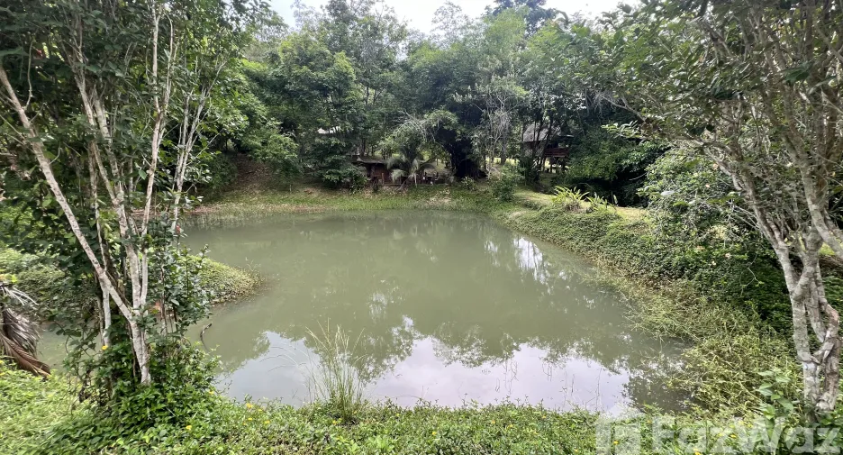 For sale land in Ko Yao, Phang Nga