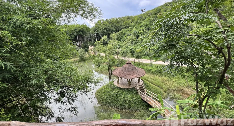 For sale land in Ko Yao, Phang Nga