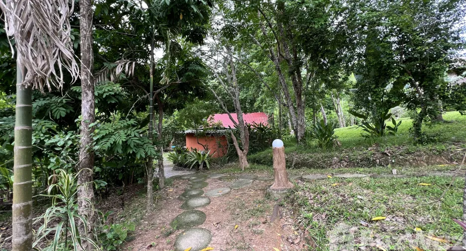 For sale land in Ko Yao, Phang Nga