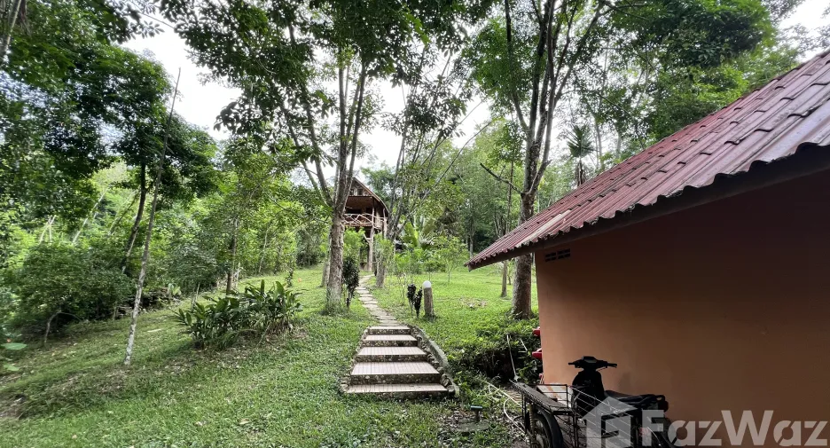 For sale land in Ko Yao, Phang Nga
