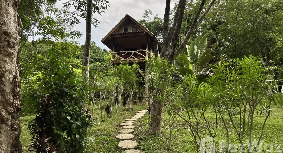 For sale land in Ko Yao, Phang Nga