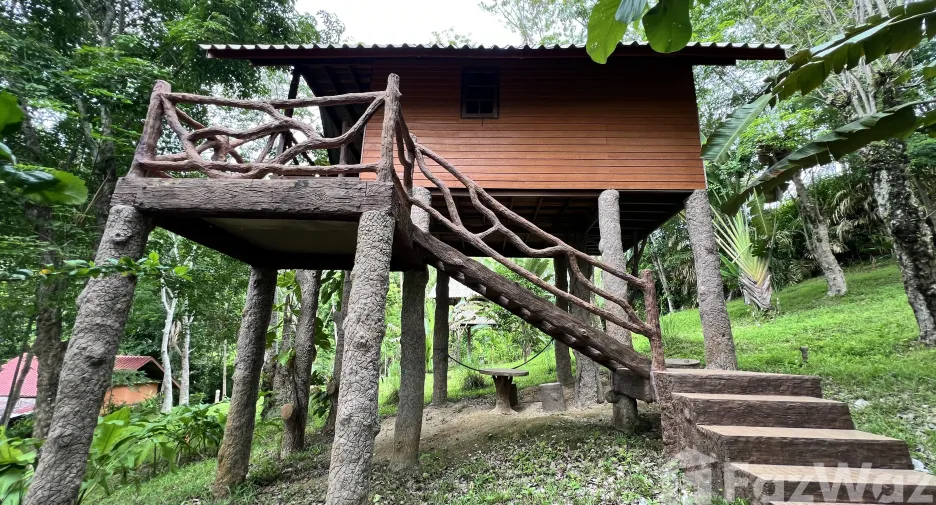 For sale land in Ko Yao, Phang Nga