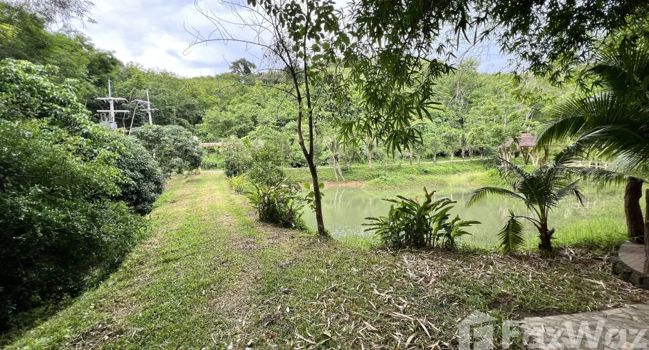 For sale land in Ko Yao, Phang Nga