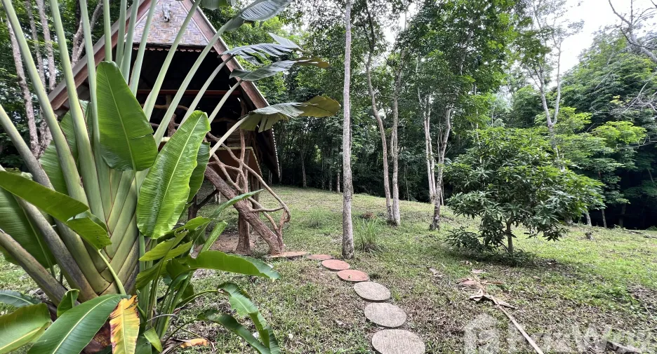 For sale land in Ko Yao, Phang Nga