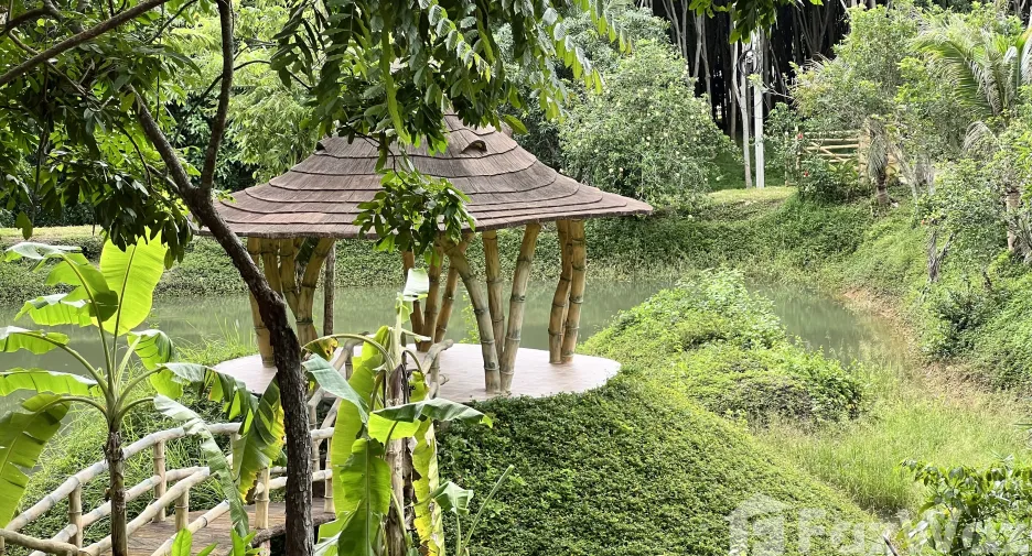 For sale land in Ko Yao, Phang Nga