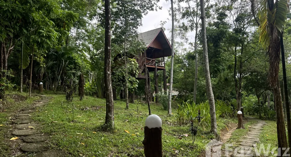 For sale land in Ko Yao, Phang Nga