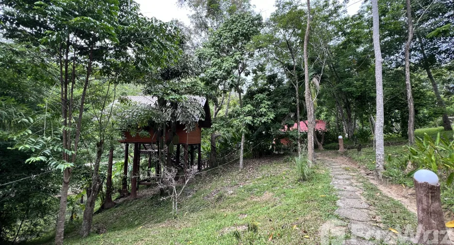 For sale land in Ko Yao, Phang Nga