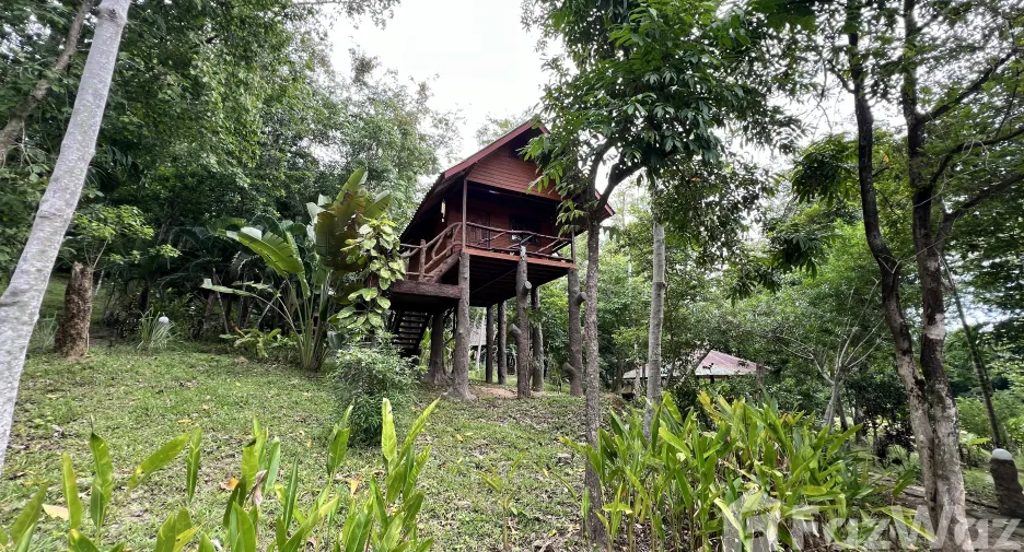 For sale land in Ko Yao, Phang Nga