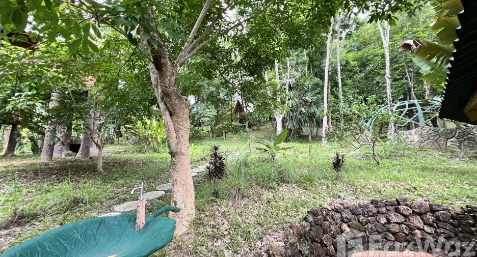 For sale land in Ko Yao, Phang Nga