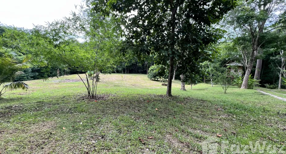For sale land in Ko Yao, Phang Nga