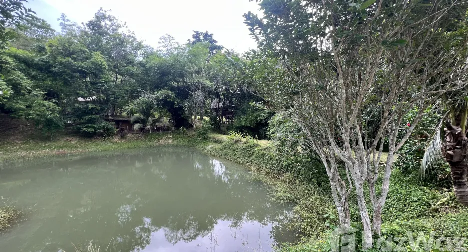 For sale land in Ko Yao, Phang Nga