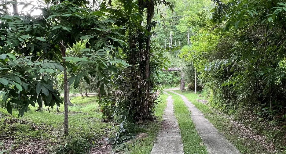 For sale land in Ko Yao, Phang Nga