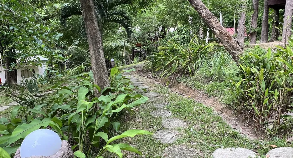 For sale land in Ko Yao, Phang Nga