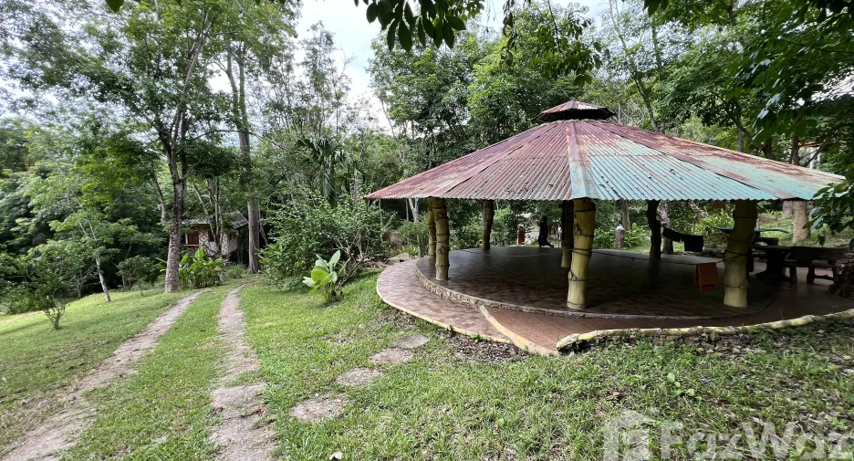 For sale land in Ko Yao, Phang Nga