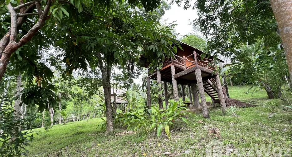 For sale land in Ko Yao, Phang Nga