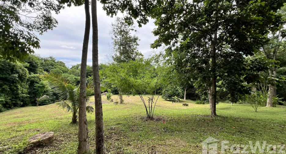For sale land in Ko Yao, Phang Nga