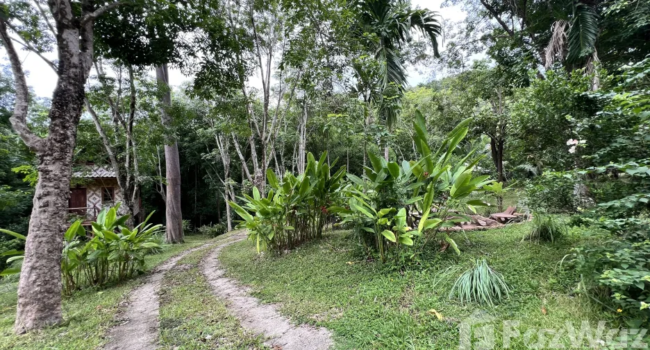 For sale land in Ko Yao, Phang Nga