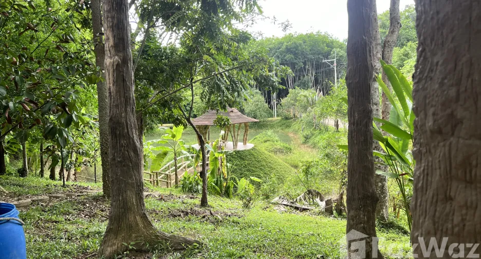 For sale land in Ko Yao, Phang Nga