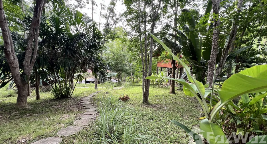 For sale land in Ko Yao, Phang Nga