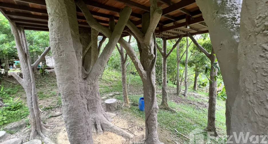 For sale land in Ko Yao, Phang Nga