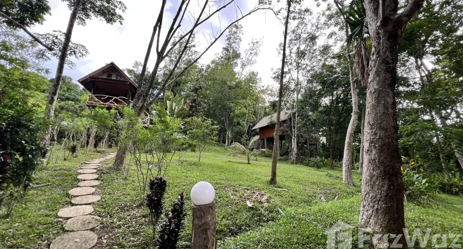 For sale land in Ko Yao, Phang Nga