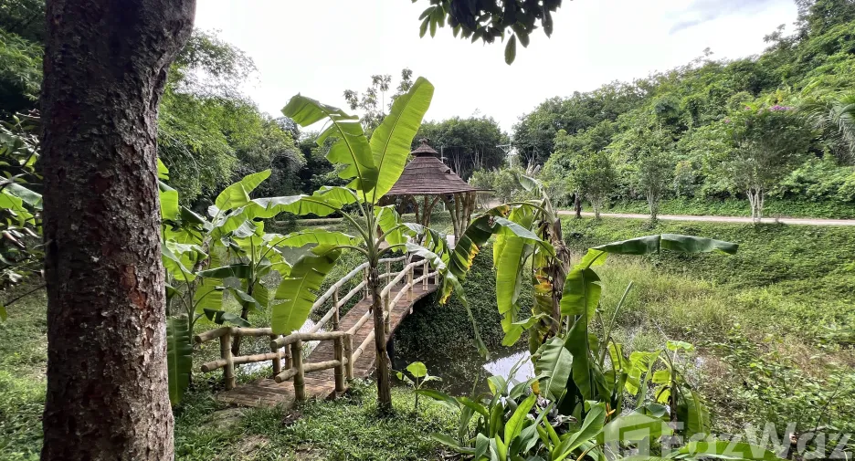 For sale land in Ko Yao, Phang Nga