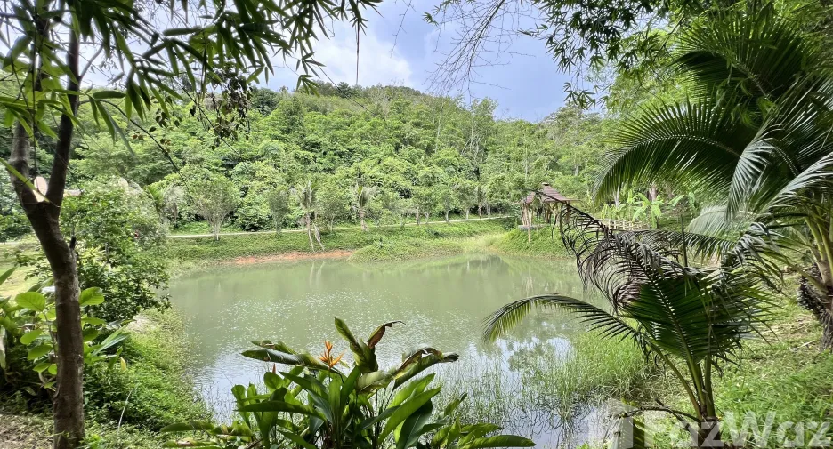 For sale land in Ko Yao, Phang Nga