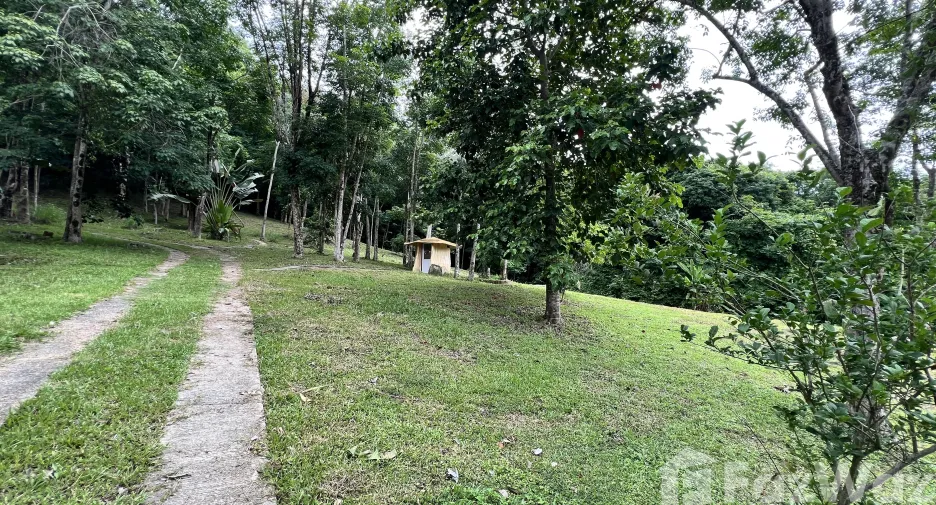 For sale land in Ko Yao, Phang Nga