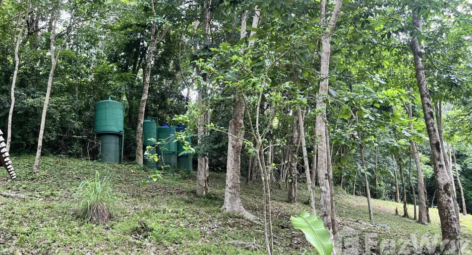 For sale land in Ko Yao, Phang Nga
