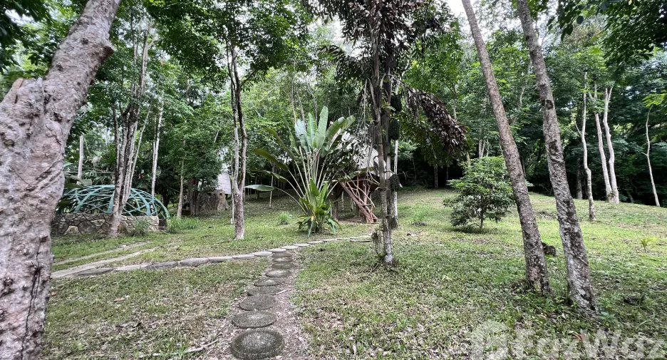 For sale land in Ko Yao, Phang Nga