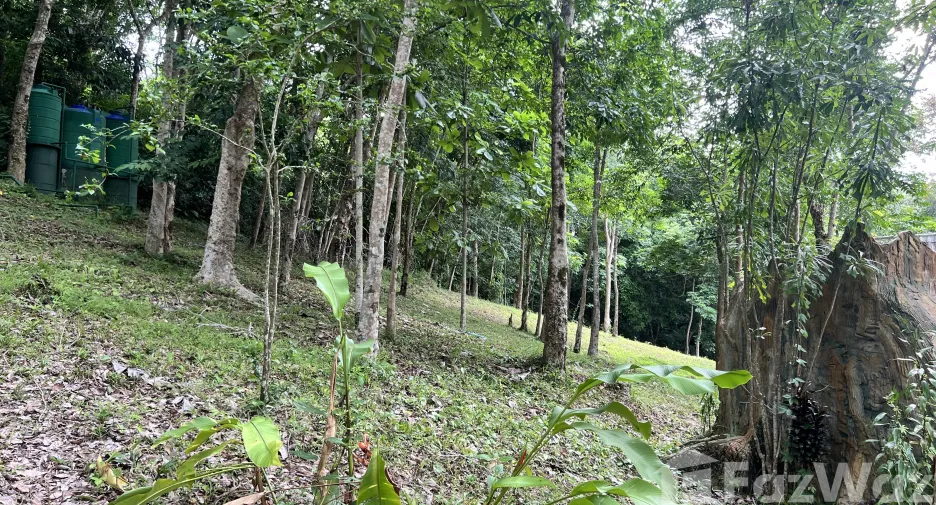 For sale land in Ko Yao, Phang Nga