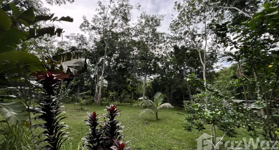 For sale land in Ko Yao, Phang Nga