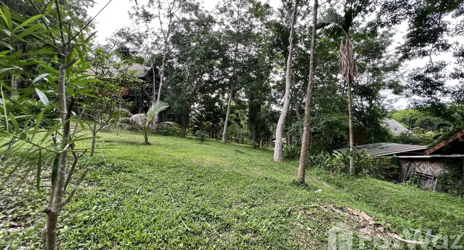 For sale land in Ko Yao, Phang Nga