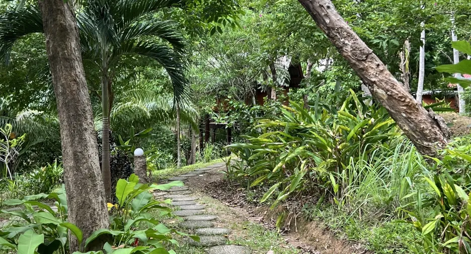 For sale land in Ko Yao, Phang Nga