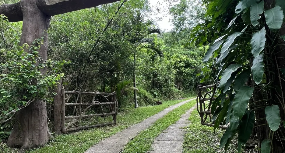 For sale land in Ko Yao, Phang Nga