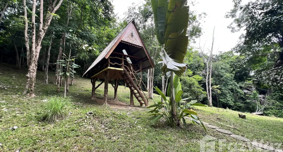 For sale land in Ko Yao, Phang Nga