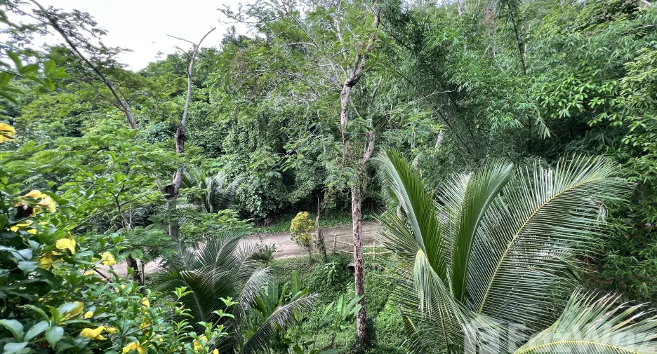 For sale land in Ko Yao, Phang Nga