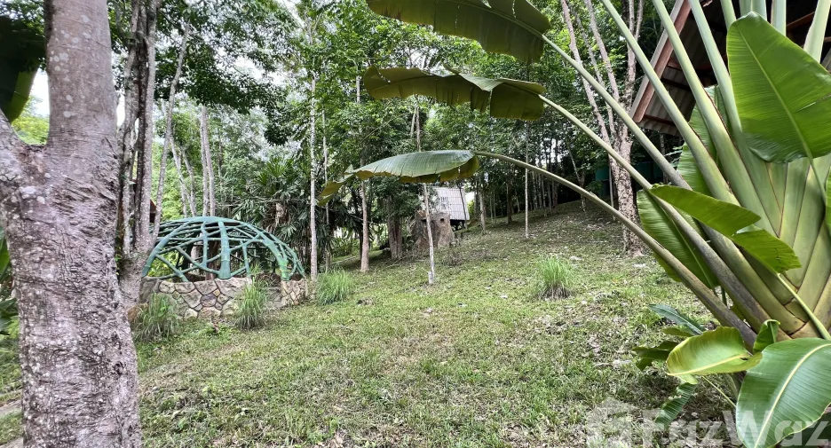 For sale land in Ko Yao, Phang Nga
