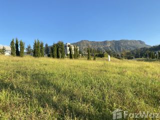 For sale land in Khao Kho, Phetchabun