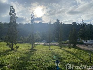 For sale land in Khao Kho, Phetchabun